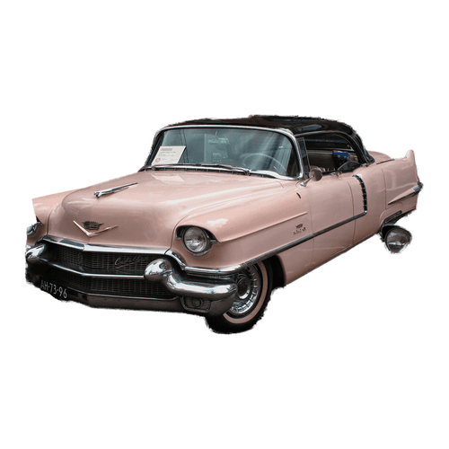 Interior & Trim