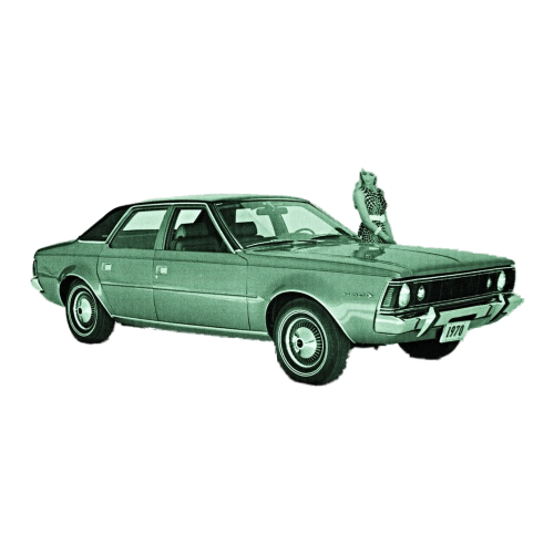 Hornet (1970-1974) - Power Steering
