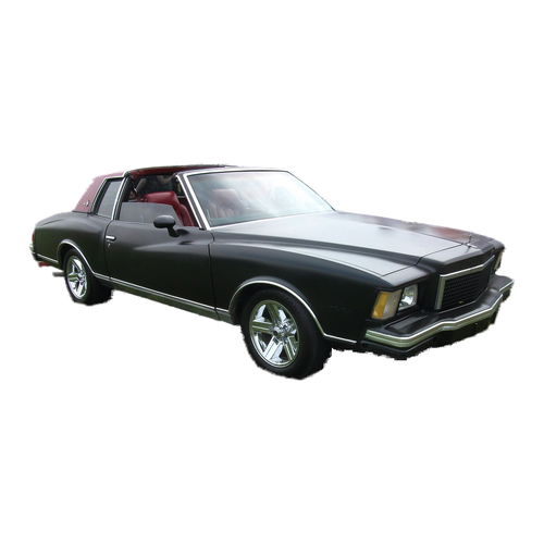 Monte Carlo (1978-1980) - Fuel System